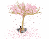 pretty pink blossom tree