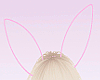 ~Pink Bunny Ears~