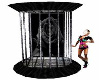 black rose dance cage