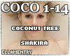 9. Coconut Tree