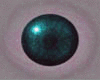 [M1105] L Blue Eyes