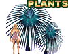 Avatar  Plants