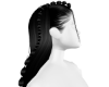 Long Black Braid
