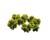 Animated grapes