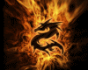 DRAGON WITH FLAMES..