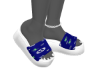 SNEAKY SLIDES