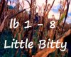 Little Bitty