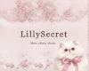 lillysecret shop bag