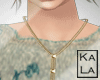 !A Gold Necklace