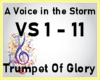 Di* A Voice in the Storm