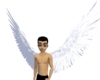 angel wings 1