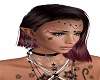 *Laurentia*Auburn*