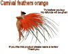Carnival feathers orange