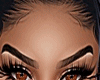 $Trophy Brows, DRV