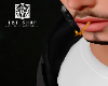 Fire Stick