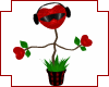 (IZ) Dancing Heart Plant