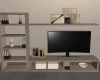 Wall TV/Shelves