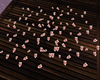 Scattering of magnolia