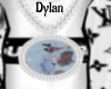 Y. Dylan .Y