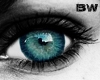 Real Blue Unisex Eyes