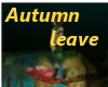Autumn falling leave