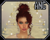 [ang]Angelfire Festiva