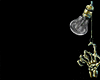 Z*Stonewashed Skull P V1
