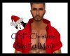 GBF~Christmas Bird Pet M