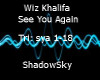 (Sky) See You Again