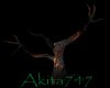 Akitas wiccan tree 1