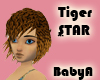 *BabyA Tiger Star Hair