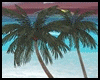 *Y* Beach Palms Set