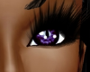 georgous purple cat eyes