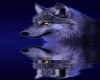 wolf animated