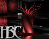 HBC Red Club Plant