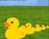 Animated Duck Family