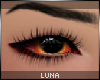 *L Gruit's Unisex Eyes