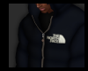 north face puffer v1