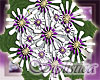 bmaid daisy bouquet(pur)