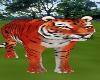 Tigers 