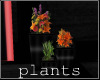 [ves]GR flower pots