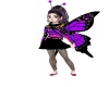 {LS} Butterfly Zetta