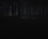 Photo Gothic Forest  2