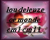 lou deleuze cm1-cm11