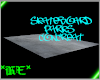 *HE*SkateboardParksConcr