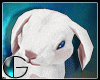 |IGI| Easter Bunny Pet F
