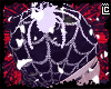 hood spider