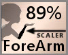Scale ForeArm 89% F
