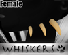 Whiskers :Demonik Tusk F