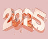 IP 2025 Poster